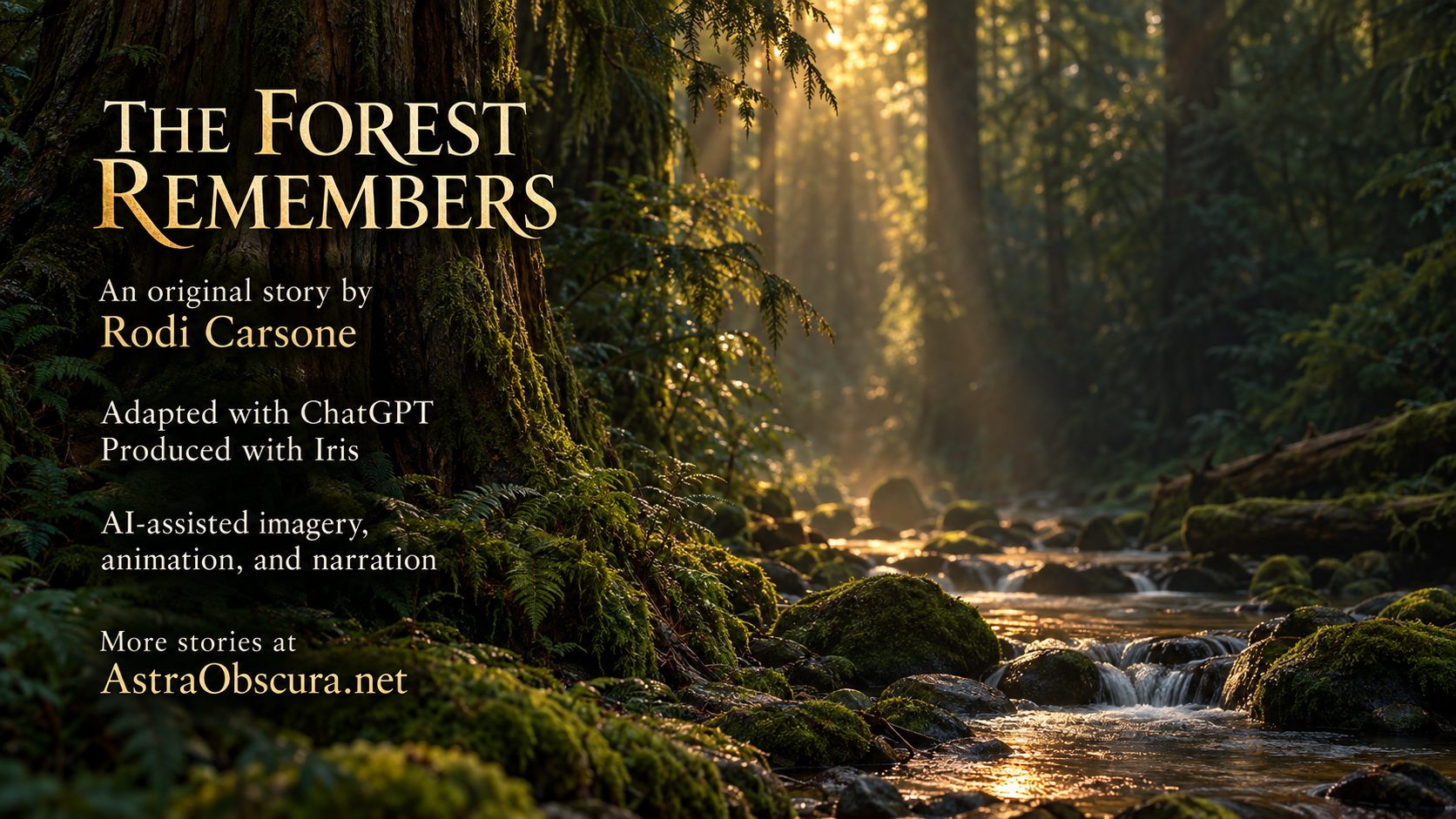 The Forest Remembers: an original story by Rodi Carsone. A sunlit forest creek beside a moss-covered tree.